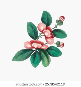 Watercolor illustration of pink flowers with green leaves. Delicate pink petals, vibrant green leaves. Artistic pink flowers, lush green foliage, elegant design. Vintage flower illustration, vector.