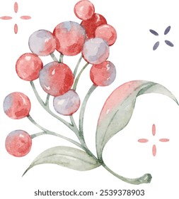 Watercolor illustration of a plant bearing red fruits