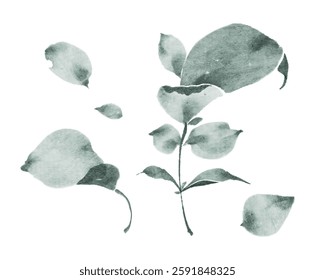 Watercolor illustration of plant leaves and branches