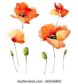 72,883 Poppies watercolor Images, Stock Photos & Vectors | Shutterstock