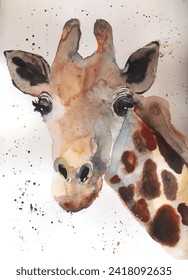 Watercolor illustration portrait of spotted brown giraffe.Safari, artiodactyl mammal.Giraffe animal hand drawn watercolor on white background with paint drops.Cute zoo, africa animal vector clipart