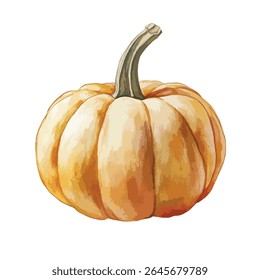 A watercolor illustration of a pumpkin, showcasing its round shape, textured surface, and a curved, green stem.