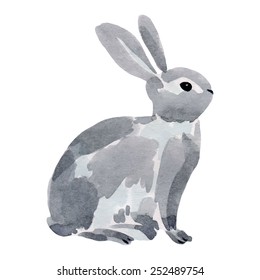 Watercolor illustration of a rabbit.Vector hand drawn illustration