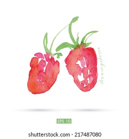 Watercolor illustration of raspberry. EPS 10. No transparency. Gradients.