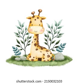 Watercolor Illustration Safari Animal Giraffe