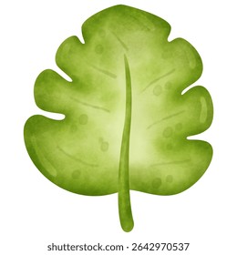 Watercolor Illustration Safari leaves. Watercolor illustration set of leaves and nature elements. 