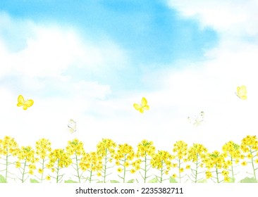 Watercolor illustration of scenery of rapeseed field with butterflies flying in the sky