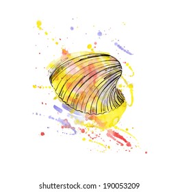 Watercolor illustration of seashells. Vector.