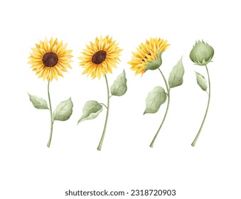 Watercolor Illustration set of beautiful sunflower wreath