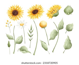 Watercolor Illustration set of beautiful sunflower and leaves