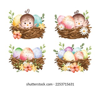 Watercolor Illustration set of bird and colorful eggs in nest