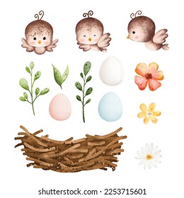 Watercolor Illustration set of bird and nest