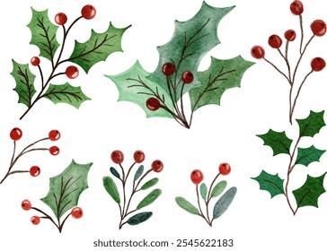 Watercolor Illustration set of Christmas plant ornaments. Mistletoe. Winterberry.