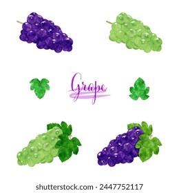 Watercolor illustration set of grapes