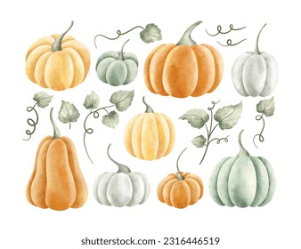 Watercolor Illustration set pumpkin