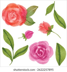 watercolor illustration set of roses and leaves