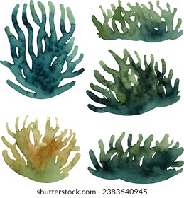 Watercolor illustration set of seaweed