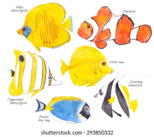 Watercolor illustration, set of six fishes: Copperband butterflyfish, Cownfish,  Addis butterflyfish, Powder blue tang,  Schooling bannerfish and Yellow tang. Vector illustration on white background. 