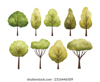 Watercolor Illustration set of tree with green leaves