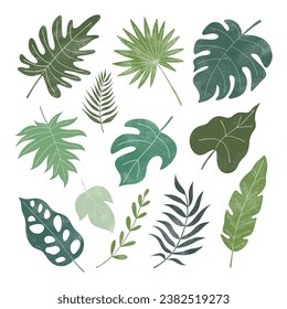 Watercolor Illustration set of Tropical Leave