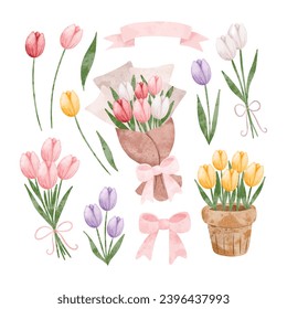 Watercolor Illustration set of Tulip Flower