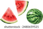 Watercolor illustration, set. Watermelon, half a watermelon, a piece of watermelon, a slice of watermelon