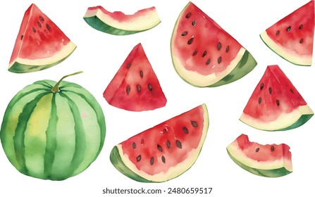 Watercolor illustration, set. Watermelon, half a watermelon, a piece of watermelon, a slice of watermelon