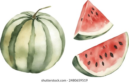 Watercolor illustration, set. Watermelon, half a watermelon, a piece of watermelon, a slice of watermelon