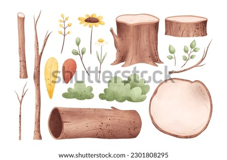 Watercolor Illustration set of wood leaves and nature elements