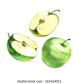 Watercolor Illustration of a sliced apple and green apple. Vector isolated.