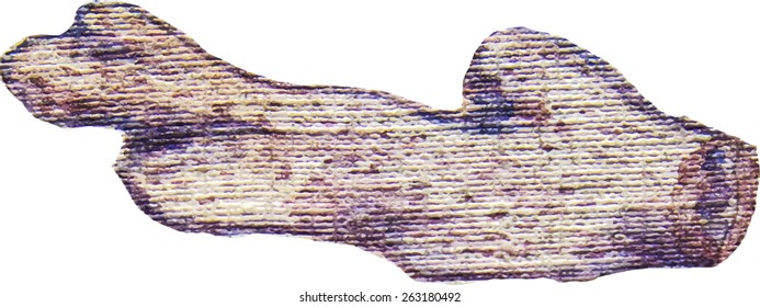 watercolor illustration of a sprig of coral