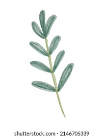Watercolor Illustration of Spring Leaf