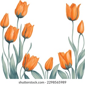 watercolor illustration of spring orange tulips frame isolated. Template of spring flowers for floral design