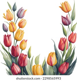 watercolor illustration of spring orange tulips frame isolated. Template of spring flowers for floral design