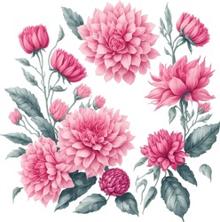 Watercolor Illustration Of Spring Pink Dahlia Flower