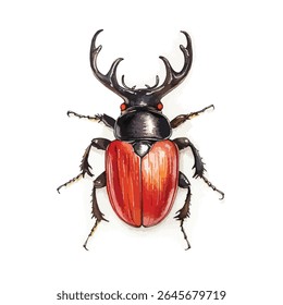 A watercolor illustration of a stag beetle, showcasing its large, branching antlers and vibrant red elytra, viewed from a top-down perspective.
