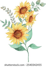 Ilustração em aquarela do buquê de girassol