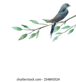 Watercolor illustration with swallow sitting on tree branch. Little artistic bird in vintage style. Hand painted vector illustration