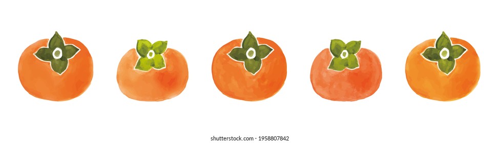 Watercolor Illustration Of Sweet Persimmon