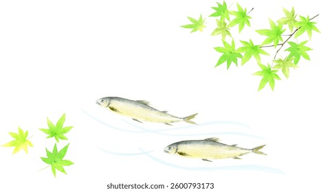 Watercolor illustration of swimming ayu fish and green maple leaves