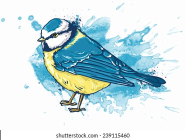 watercolor illustration Titmouse white background