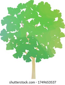 Watercolor illustration of a tree with leaves.