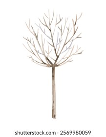 Watercolor illustration of a tree trunk without leaves