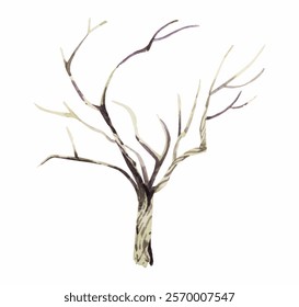 Watercolor illustration of a tree trunk without leaves