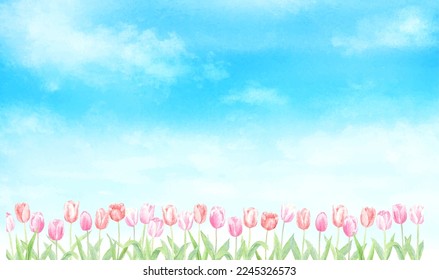 Watercolor illustration of tulip field  in the blue sky