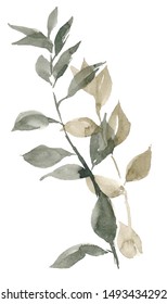 Watercolor illustration of two elegant long green branches.