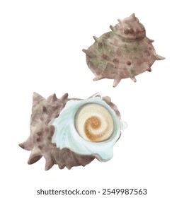 Watercolor Illustration Two Shelled Turban Shrimp White Background