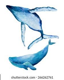 Watercolor Illustration Two Whales. Vector, isolated.