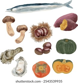 Watercolor illustration Various autumn foods set - vegetables, fruits, nuts, fish, etc.