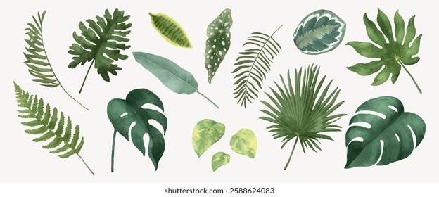 Watercolor illustration of various green tropical leaves, including ferns and monstera. Lush green leaves in different shapes and sizes on a light background. Nature illustrations, element vector set.